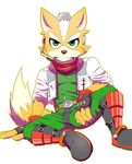 anthro canine clothing fox fox_mccloud fur garakutea green_eyes male mammal nintendo solo star_fox video_games 