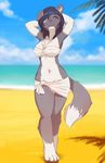  absurd_res anthro barefoot border_collie breasts canine clothed clothing collie day detailed_background dog female fruitbloodmilkshake heterochromia hi_res looking_at_viewer mammal midriff navel outside shy sky solo sonya standing voluptuous 