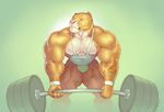  2013 anthro areola blue_eyes bulge clothing exercise feline herc_the_liger hybrid hyper hyper_muscles jockstrap liger lion mainlion male mammal muscular muscular_male nipples shirt simple_background tank_top thick_thighs tiger underwear weightlifting weights workout 