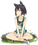  animal animal_ears animal_in_clothes black_hair brown_eyes cat cat_ears cat_tail jacket kimura_(ykimu) multicolored_hair multiple_tails nekomata open_clothes open_jacket original short_hair shorts sitting slit_pupils solo tail two-tone_hair 