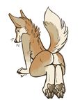  2017 ambiguous_gender anthro brown_fur butt canine claws coyote fur looking_at_viewer looking_back mammal multicolored_fur nude pawpads raised_tail rear_view sepia_(artist) simple_background smile solo toe_claws two_tone_fur whiskers white_background 