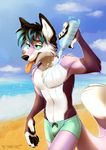  2016 anthro beach blue_eyes canine clothing fox fur male mammal multyashka-sweet purple_fur seaside solo swimming_trunks swimsuit taro-fox tongue water 