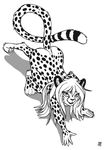  2017 all_fours anthro casual_nudity cheetah claws convenient_censorship crouching digitigrade feline female fur mammal mihari monochrome nude s-nina simple_background smile sneaking solo spots spotted_fur stalking toe_claws white_background 