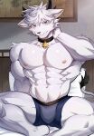 anthro blue_eyes blush chung0_0 clothing fur hi_res looking_at_viewer male muscular muscular_anthro muscular_male solo underwear white_body white_fur