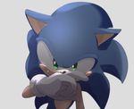  2017 clothing gloves hedgehog male mammal omiya599 sonic_(series) sonic_the_hedgehog video_games 