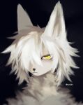 anthro black_background canid detailed detailed_fur digital_media_(artwork) fur hair hi_res looking_at_viewer mammal mouth_closed one_eye_obstructed pointy_ears portrait serious serious_face signature simple_background solo sue36v white_body white_fur white_hair yellow_eyes