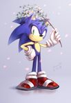  2014 anthro bloomth clothing gloves hedgehog male mammal solo sonic_(series) sonic_the_hedgehog 