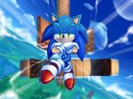  2013 canine clothing gloves hedgehog male mammal sasisage solo sonic_(series) sonic_the_hedgehog video_games 