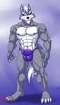 abs anthro biceps big_bulge bulge canine clothing eye_patch eyewear hungothenomster mammal muscular nintendo nipples pecs star_fox swimsuit thong underwear video_games wolf wolf_o&#039;donnell 