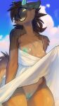 2025 anthro areola breasts brown_body brown_fur brown_tail clothed clothed_anthro clothed_female clothing cloud countershade_torso countershading day digital_media_(artwork) exposed_breasts female front_view fur genitals hi_res horn nipples nitani outside pussy scalie sky smile solo standing tail