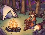  2017 anthro bikini bikini_top brown_hair campfire canine chest_tuft clothing dipstick_tail discarded_clothing ear_piercing female forest fox gloves_(marking) hair inner_ear_fluff long_hair mammal markings multicolored_tail night outside piercing sepia_(artist) shirt shorts sitting smile socks_(marking) solo swimsuit tent towel tree tuft 