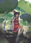  1girl ascot barefoot black_hair blunt_bangs bow capybara_(trafficcone09) detached_sleeves frilled_bow frilled_hair_tubes frills hair_bow hair_tubes hakurei_reimu highres leaf long_hair outdoors plant red_bow red_eyes red_skirt ribbon_trim sitting skirt skirt_set solo touhou water yellow_ascot 