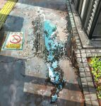  commentary day grass highres no_humans no_smoking original outdoors puddle reflection reflective_water sanegesan scenery shadow tactile_paving water 