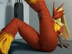  2017 anthro blaziken blue_eyes breasts feathers female nintendo nipples nude pienji pok&eacute;mon punching_bag pussy raised_leg solo talons video_games 