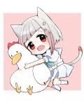  1girl :o animal_ears aqua_neckerchief blue_dress border cat_ears cat_girl cat_tail chibi commentary diagonal_bangs dress grey_hair hair_ornament highres hugging_doll hugging_object kanduki_kamibukuro kemonomimi_mode link!_like!_love_live! looking_at_viewer love_live! medium_dress multicolored_hair neckerchief peking_duck_(love_live!) pink_background pleated_dress puffy_short_sleeves puffy_sleeves red_eyes red_hair sailor_collar sailor_dress short_hair short_sleeves simple_background socks star_(symbol) star_hair_ornament streaked_hair stuffed_animal stuffed_bird stuffed_chicken stuffed_toy summer_uniform tail virtual_youtuber white_border white_sailor_collar white_socks yugiri_tsuzuri 