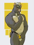  athletic bedroom_eyes bulge butt canine clothing ear_piercing facial_piercing flexing fur grey_fur hair half-closed_eyes jockstrap lip_piercing male mammal navel piercing requiembeatz seductive simple_background slightly_chubby solo underwear white_fur white_hair yellow_eyes 