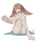  4_fingers 4_toes :3 anthro bangs black_nose blush brown_hair claws collarbone crossed_legs digital_media_(artwork) featureless_crotch female full_body fur grey_fur hair humanoid_hands kemono lagomorph looking_at_viewer mammal mibuchi mouth_closed nude orange_eyes paws rabbit sharp_claws short_hair simple_background sitting smile solo toes white_background white_claws 