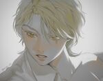  1boy birthmark bishounen blonde_hair dio_brando ear_birthmark jojo_no_kimyou_na_bouken long_hair phantom_blood shira_jdj solo yellow_eyes 
