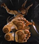 3d_(artwork) 5_toes absurd_res anthro canid canine canis clothing digital_media_(artwork) dobermann dog_knight_rpg domestic_dog dropkick feet female foot_focus footwear hi_res iglooder kick knife mammal motion_lines paws pinscher rory_(ceehaz) simple_background socks soles solo stirrup_socks toes