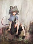  animal_ears grey_hair highres jewelry mouse_ears mouse_tail nazrin pendant red_eyes shippu_man short_hair sitting smile solo tail touhou 