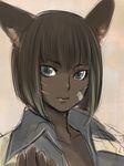  animal_ears bad_id bad_pixiv_id bandages brown_hair dark_skin doraeshi facial_mark final_fantasy final_fantasy_xiv green_eyes highres miqo'te slit_pupils solo 