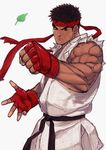  black_hair brown_eyes dougi eyebrows fighting_stance fingerless_gloves gloves headband leaf male_focus muscle ryuu_(street_fighter) solo street_fighter street_fighter_iv_(series) tan tetsu_(kimuchi) thick_eyebrows traditional_media 