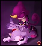 absurd_res ambiguous_penetration anthro areola ass_up blaze_the_cat blush bodily_fluids breasts chameleon clenched_teeth clothing digital_media_(artwork) domestic_cat duo espio_the_chameleon eyes_closed felid feline felis female female_penetrated footwear from_behind_position fur genital_fluids gloves hair handwear hi_res horn ladycherrybomba lizard looking_back male male/female male_penetrating male_penetrating_female mammal nipples one_eye_closed open_mouth penetration purple_body purple_fur reptile scalie sega sex shoes simple_background smile sonic_the_hedgehog_(series) standing standing_sex tail teeth