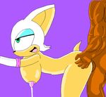 animated rouge_the_bat sonic_team tagme 