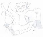  cheese_the_chao cream_the_rabbit excito sonic_team tagme 