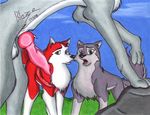  aleu balto husky jenna wolf 