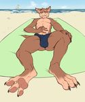  2017 3_toes anthro beach bulge clothing comfycushion foot_fetish foot_focus gremlin looking_at_viewer male mammal outside paws seaside smile solo speedo swimsuit toes 