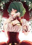  black_bra blouse bra breasts cleavage collarbone commentary_request corset fangs flower green_hair high_collar kazami_yuuka lace lace-trimmed_bra lips medium_breasts mokokiyo_(asaddr) parasol puffy_short_sleeves puffy_sleeves red_eyes red_skirt short_sleeves skirt solo symbol-shaped_pupils touhou umbrella underbust underwear wavy_hair white_blouse 