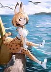  animal animal_ears bird black_bow blonde_hair blue_sky bow bowtie breasts bridge cloud cloudy_sky day elbow_gloves extra_ears gloves high-waist_skirt highres kemono_friends large_breasts log looking_at_viewer ocean outdoors seagull serval_(kemono_friends) serval_ears serval_print serval_tail shoes sitting skirt sky smile solo tail thighhighs treeware v_arms water white_footwear yellow_eyes yellow_legwear 