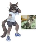 2025 5_fingers anthro black_clothing black_hair black_underwear blue_clothing blue_footwear blue_shoes bottomwear brown_body brown_fur cat_sona_(mr-shin) claws clothing domestic_cat felid feline felis finger_claws fingers footwear fur gesture grey_body grey_bottomwear grey_clothing grey_fur grey_shorts hair hand_outstretched hi_res inner_ear_fluff leg_markings male mammal markings meme motion_lines mr-shin photo pink_nose pupils raised_hand running_shoes salute shaking shirt shoes shorts socks_(marking) solo topwear trembling tuft underwear white_body white_claws white_clothing white_fur white_inner_ear_fluff white_shirt white_topwear yellow_eyes