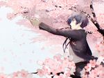  blue_hair cherry_blossoms flower jacket male_focus mentaishi persona persona_3 smile solo tree yuuki_makoto 