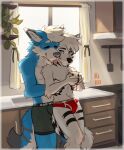 anthro appliance blue_body blue_fur boxer_briefs boxer_briefs_only briefs briefs_only canid canine canis clothed clothing container cup curtains_open domestic_dog duo eyes_closed fenneckiro fur fur_markings green_boxer_briefs green_clothing green_underwear hi_res hug hugging_another hugging_from_behind husky hybrid kitchen kitchen_appliance kitchen_counter kitchen_utensils male male/male mammal markings mug navel nordic_sled_dog plant red_briefs red_clothing red_underwear slim small_waist smile smiling_at_another smiling_at_partner spitz tongue tongue_out tools topless underwear underwear_only white_body white_fur window wolf