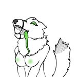  canine drooling fox fur green_eyes green_nipples green_tongue higgz long_tongue mammal nipples tagme tongue vix white_fur 