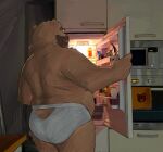 absurd_res anthro appliance bear briefs briefs_only brown_bear butt clothed clothing cubboard detailed_background eyewear fridge glasses grizzly_bear handwear hi_res kitchen_appliance male mammal microwave_oven nub_tail oven oven_mitts overweight overweight_anthro overweight_male professor_fluff rear_view solo tighty_whities topless underwear underwear_only ursine wearing_glasses white_briefs white_clothing white_underwear