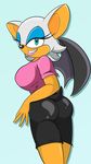  bat butt butt_pose female looking_back mammal rouge_the_bat sonic_(series) wings 