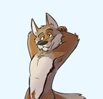  2017 anthro armpits barely_visible_genitalia canine chest_tuft digital_media_(artwork) fox fur hands_behind_head hi_res looking_at_viewer male mammal nude paintfox penis pubes simple_background smile solo standing subtle_penis tuft 