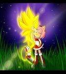  2013 amy_rose anthro clothing danielasdoodles female gloves hedgehog male mammal sonic_(series) sonic_the_hedgehog 