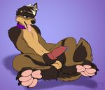  animal_genitalia animal_penis anthro balls canine canine_penis carifoxleopard collar erection genital_piercing knot male mammal masturbation nude penis penis_piercing piercing prince_albert_piercing solo spread_legs spreading tongue tongue_out 