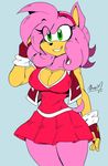 2017 akatsukishiranui-fox amy_rose anthro big_breasts breasts cleavage clothed clothing female hedgehog hi_res mammal smile solo sonic_(series) 