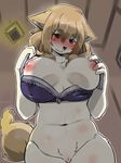  anthro belly big_breasts blush bra breasts brown_hair canine clothing dog female fur hair holding_breast kemono low-angle_view mammal navel nipples phyracorlybia_dorio pubes pussy solo sukasuka sweat tuft underwear undressing このピザがッ 