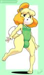  animal_crossing argento barefoot breasts bulge canine clothing dickgirl dog intersex isabelle_(animal_crossing) mammal nintendo small_breasts swimsuit video_games 