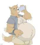  2016 alcohol beer belly beverage big_belly brown_fur canine canson drinking ear_piercing fur male mammal nipple_piercing nipples overweight piercing simple_background unbuttoned white_background wolf 