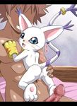  1boy 1girl blush digimon nude penis pussy tailmon uncensored 