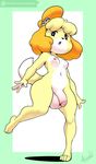  animal_crossing argento barefoot breasts canine dickgirl dog intersex isabelle_(animal_crossing) mammal nintendo nude small_breasts video_games 
