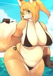  akitaka beach belly big_breasts bikini blue_eyes breasts canine clothed clothing female fox fur hair looking_at_viewer mammal navel orange_fur orange_hair seaside skimpy slightly_chubby solo swimsuit thick_thighs water 