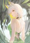  1girl arknights back backless_dress backless_outfit bare_shoulders black_choker breasts cat cat_girl choker commentary dated dress green_dress green_eyes highres kal'tsit_(arknights) medium_breasts mon3tr_(arknights) mon3tr_(summon)_(arknights) sy509 white_hair 